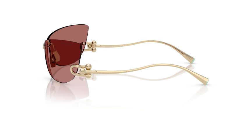 Tiffany & Co TF3112K-622569 - Side View