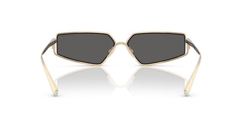 Tiffany & Co TF3113KB-6220S4 - Back View