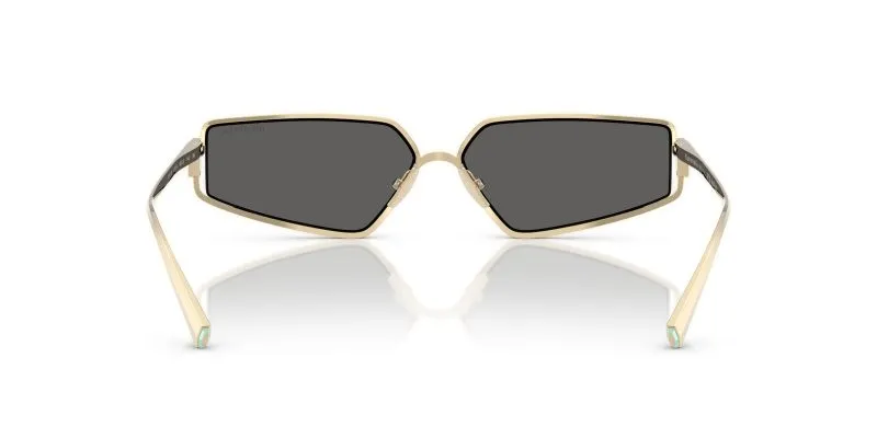 Tiffany & Co TF3113KB-6220S4 - Back View
