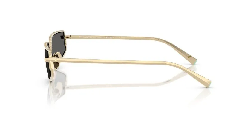 Tiffany & Co TF3113KB-6220S4 - Side View