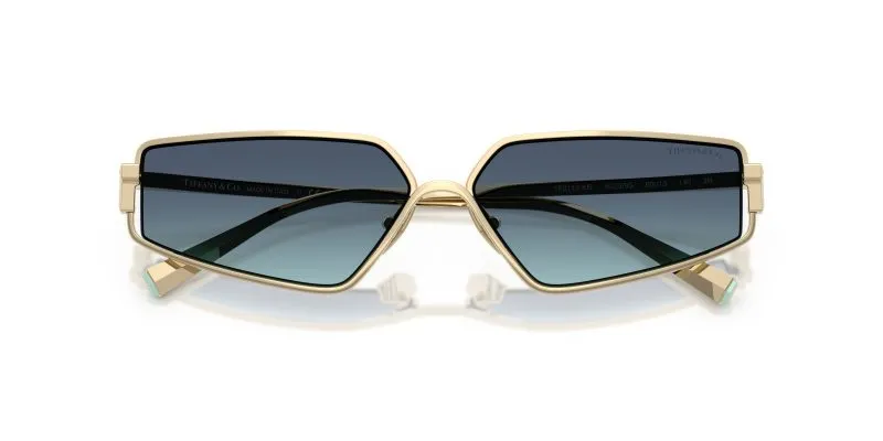 Tiffany & Co TF3113KB-62239S - Folded View