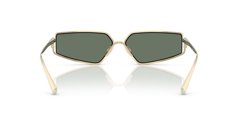 Tiffany & Co TF3113KB-62243H - Back View