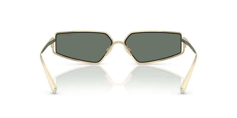 Tiffany & Co TF3113KB-62243H - Back View
