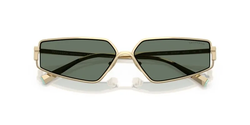 Tiffany & Co TF3113KB-62243H - Folded View