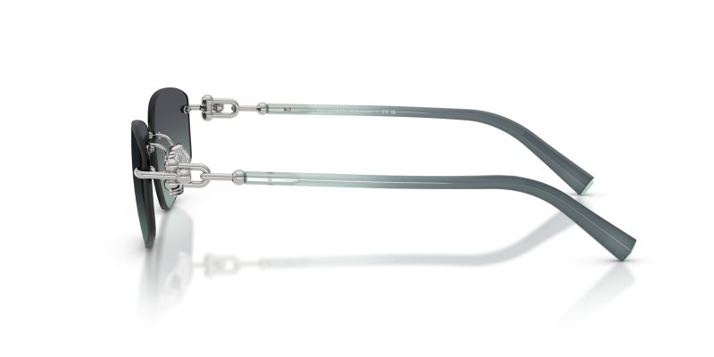 Tiffany & Co TF3114-60012G - Side View