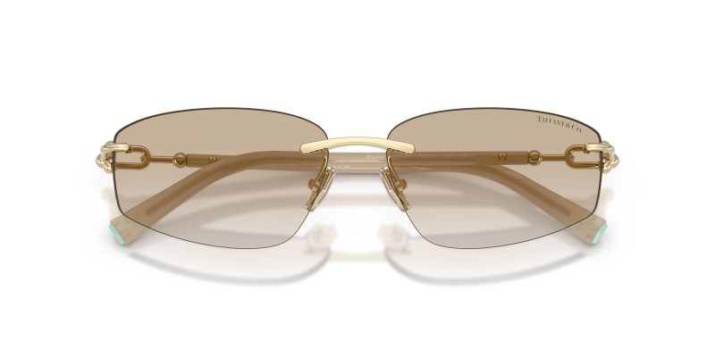 Tiffany & Co TF3114-602111 - Folded View