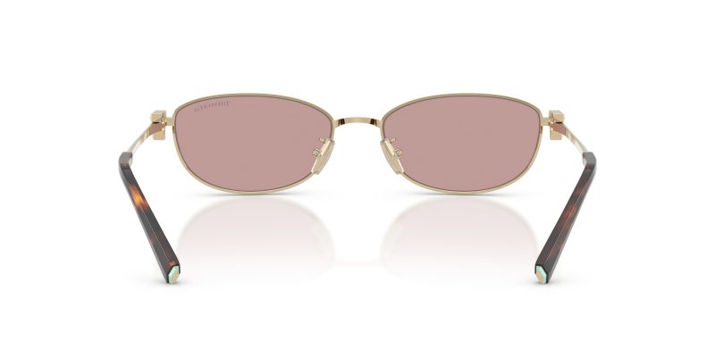 Tiffany & Co TF3115-6189VS - Back View