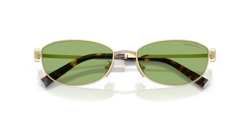 Tiffany & Co TF3115-6229/2 - Folded View