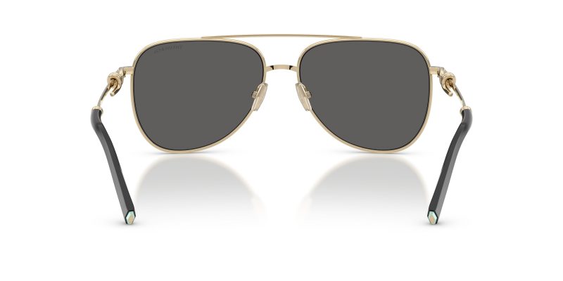 Tiffany & Co TF3116-6021S4 - Back View