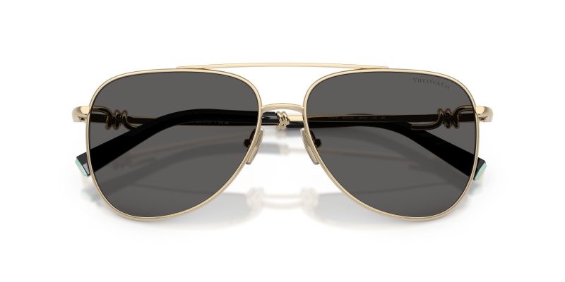 Tiffany & Co TF3116-6021S4 - Folded View