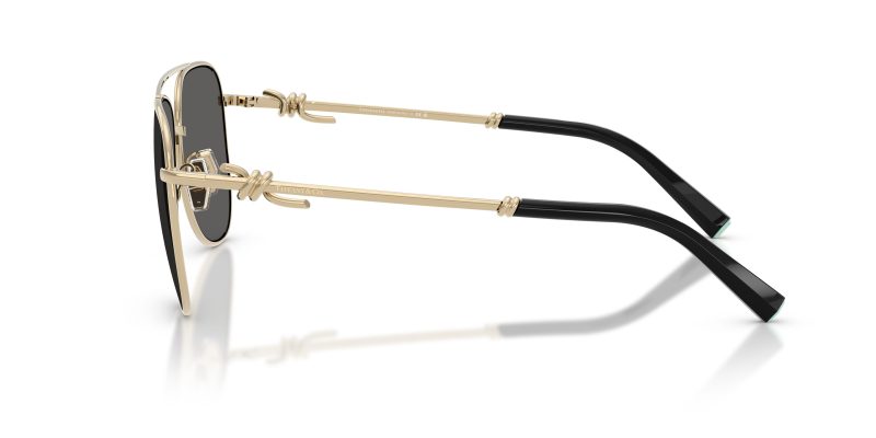 Tiffany & Co TF3116-6021S4 - Side View