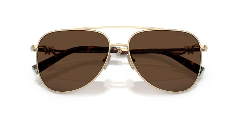 Tiffany & Co TF3116-61933G - Folded View