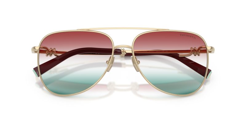 Tiffany & Co TF3116-6230EL - Folded View