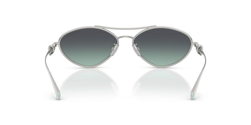 Tiffany & Co TF3117-60012G - Back View