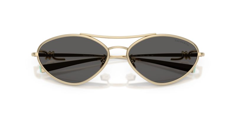 Tiffany & Co TF3117-6021S4 - Folded View