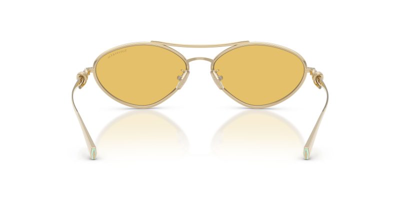 Tiffany & Co TF3117-623685 - Back View