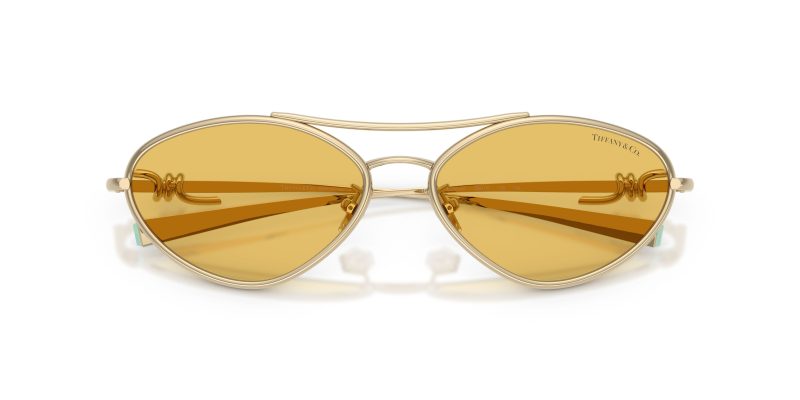 Tiffany & Co TF3117-623685 - Folded View