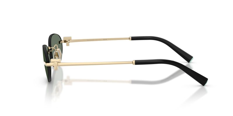 Tiffany & Co TF3119D-623882 - Side View