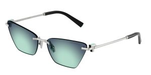 Tiffany & Co TF3120-60019S