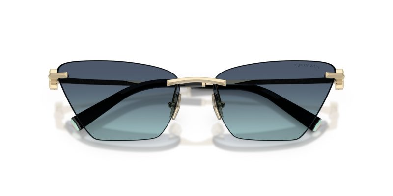 Tiffany & Co TF3120-60219S - Folded View