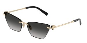 Tiffany & Co TF3120-62413C