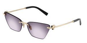 Tiffany & Co TF3120-62438H