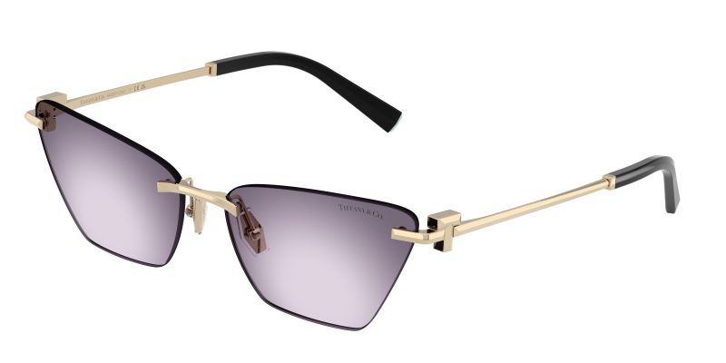 Tiffany & Co TF3120-62438H