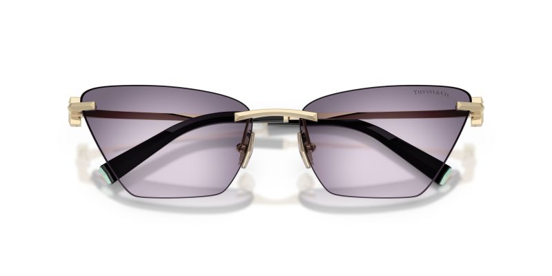 Tiffany & Co TF3120-62438H - Folded View