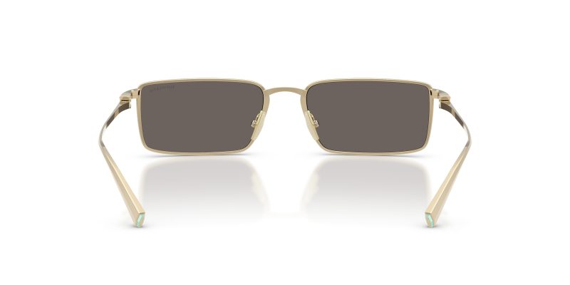 Tiffany & Co TF3121KB-6220B1 - Back View