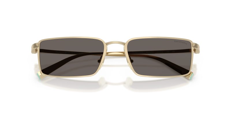 Tiffany & Co TF3121KB-6220B1 - Folded View