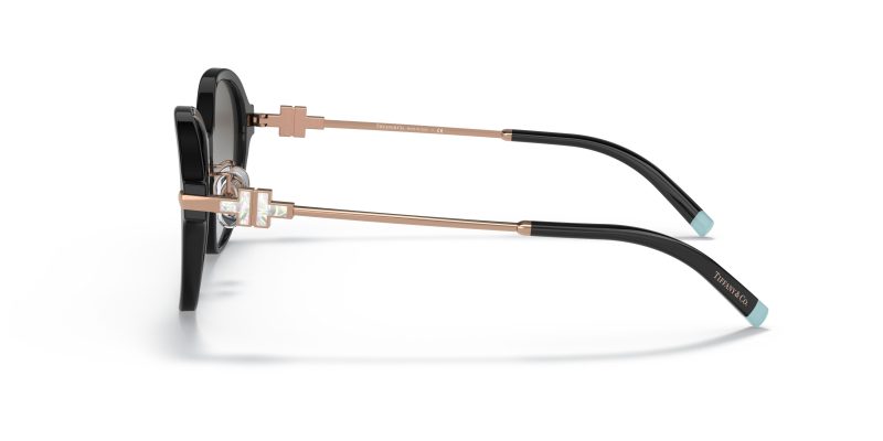 Tiffany & Co TF4188D-80013C - Side View