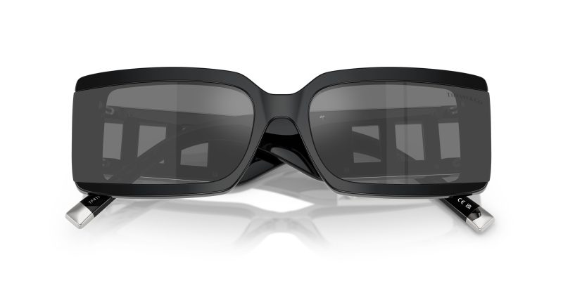 Tiffany & Co TF4197-84306G - Folded View