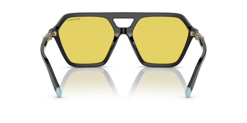 Tiffany & Co TF4198-800185 - Back View