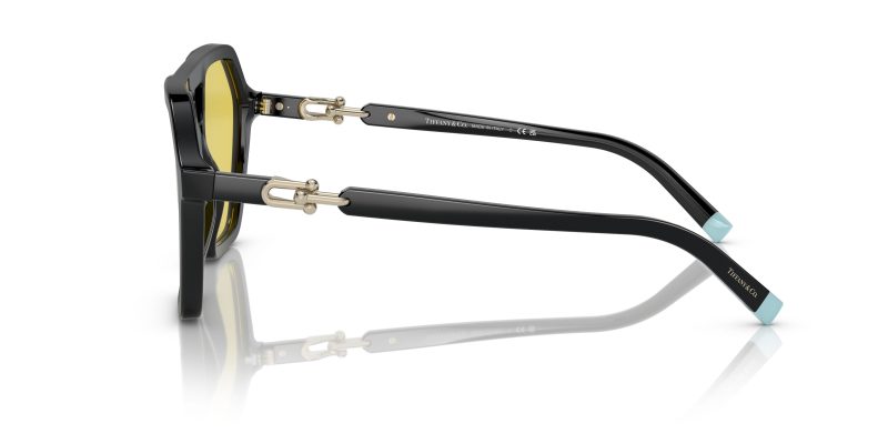 Tiffany & Co TF4198-800185 - Side View