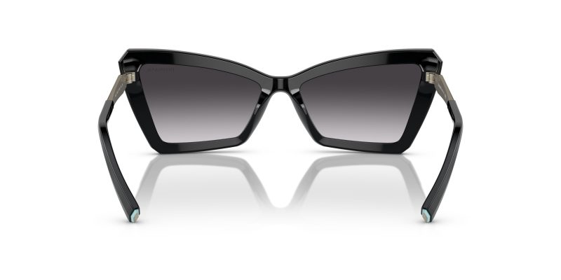 Tiffany & Co TF4203-80013C - Back View