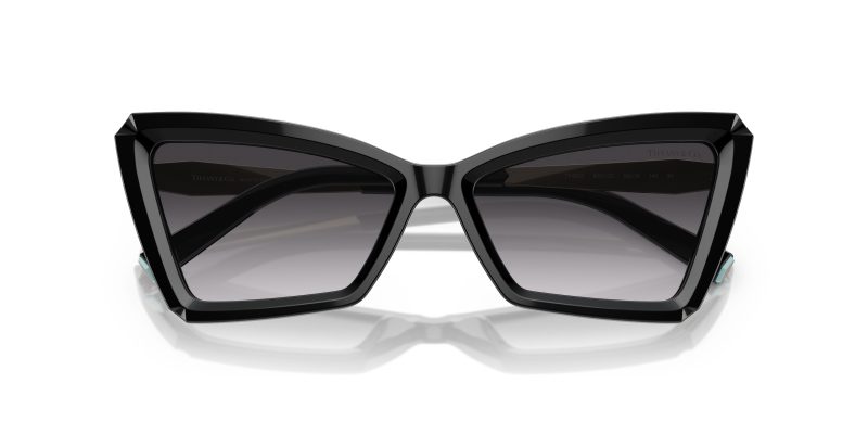 Tiffany & Co TF4203-80013C - Folded View