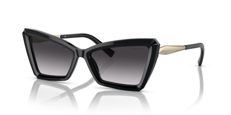 Tiffany & Co TF4203-80013C - Quarter View