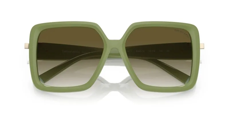 Tiffany & Co TF4206U-83687Z - Folded View