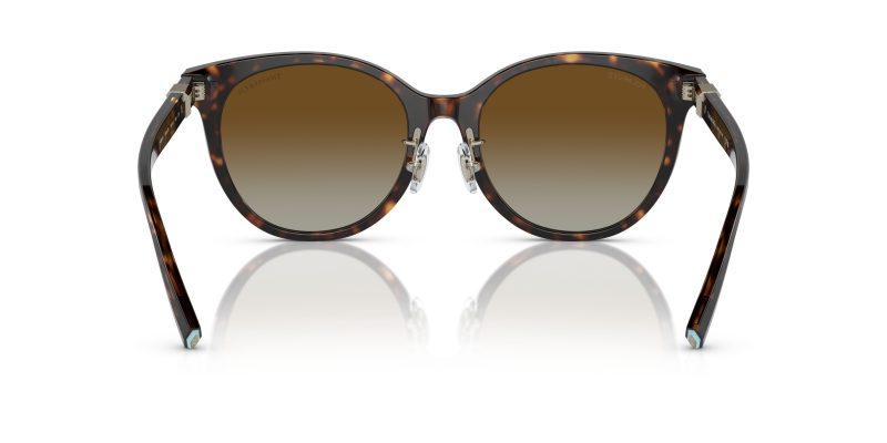 Tiffany & Co TF4209D-8015T5 - Back View