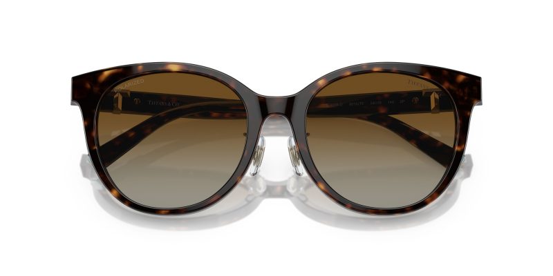 Tiffany & Co TF4209D-8015T5 - Folded View