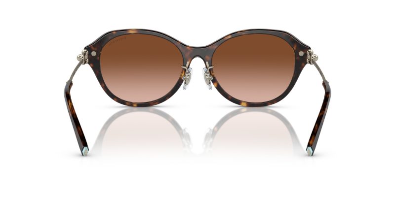 Tiffany & Co TF4210D-80153B - Back View