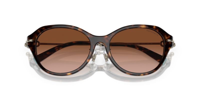 Tiffany & Co TF4210D-80153B - Folded View