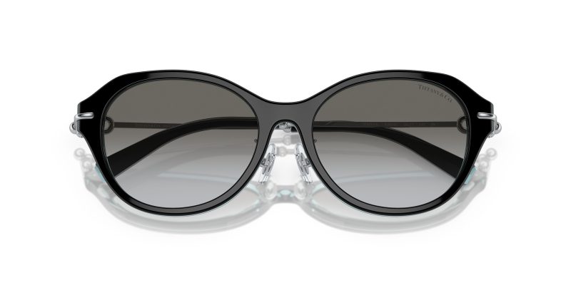 Tiffany & Co TF4210D-82853C - Folded View