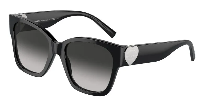Tiffany & Co TF4216F-80013C