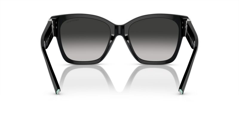 Tiffany & Co TF4216F-80013C - Back View