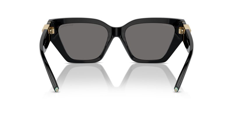 Tiffany & Co TF4218F-800181 - Back View