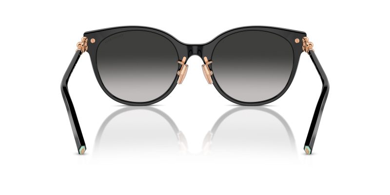 Tiffany & Co TF4223D-80013C - Back View