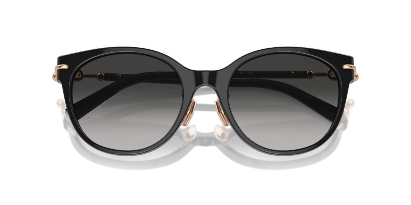 Tiffany & Co TF4223D-80013C - Folded View