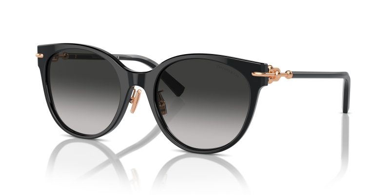 Tiffany & Co TF4223D-80013C - Quarter View