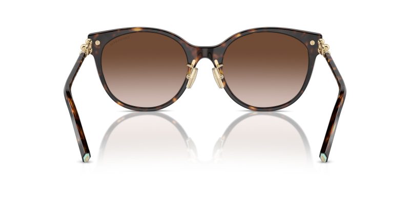 Tiffany & Co TF4223D-80153B - Back View